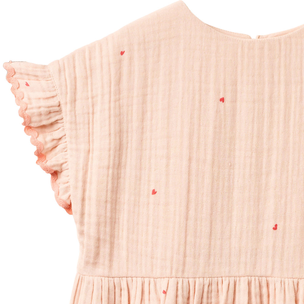 Dress Lace Thit