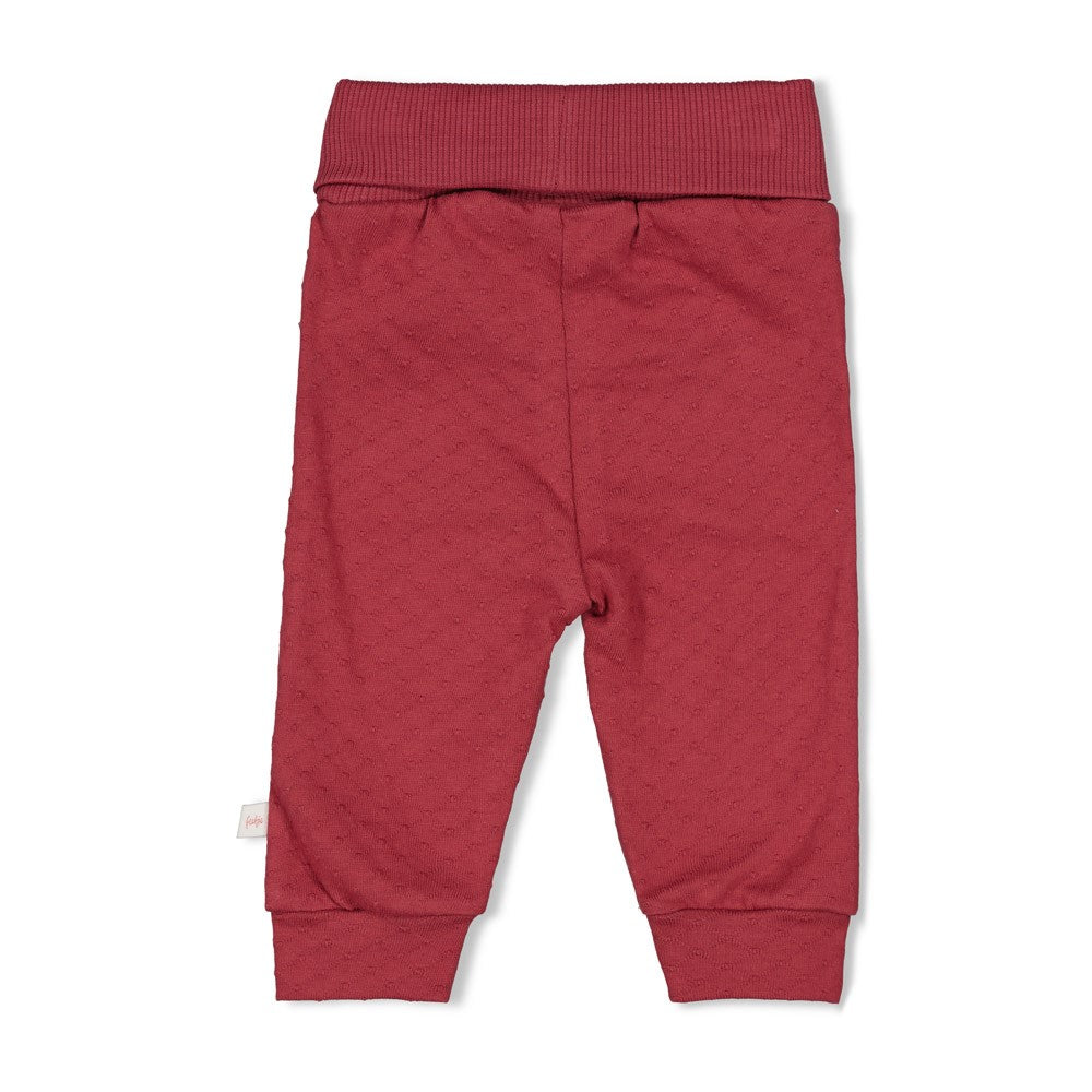 Broek - Ladybug