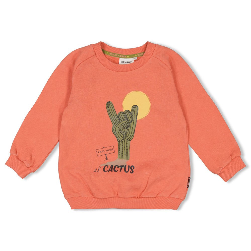 Sweater - Desert Fiesta