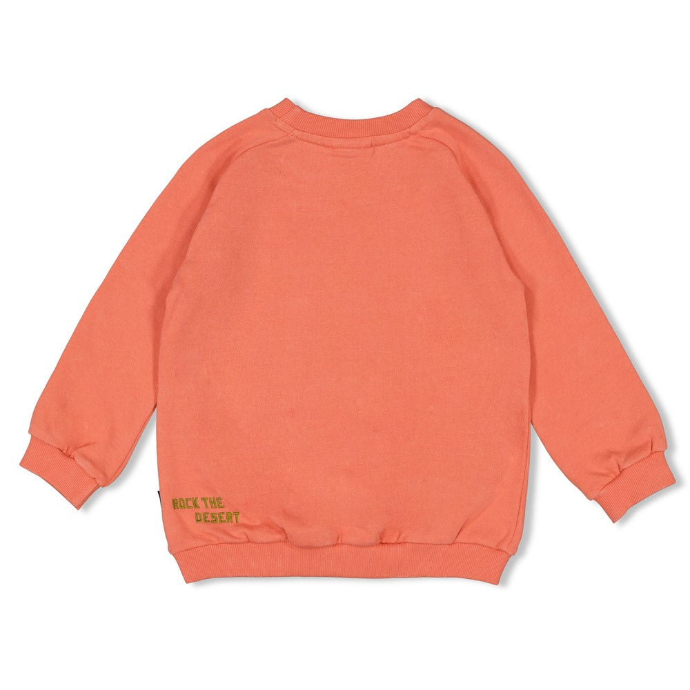 Sweater - Desert Fiesta