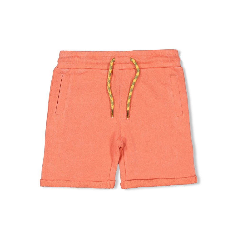Short - Desert Fiesta